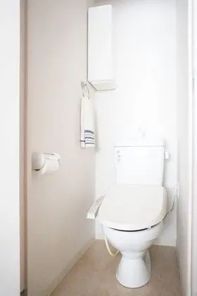 Luxury Apart Daire (2)