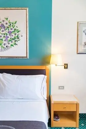 Superior Tek Büyük veya İki Ayrı Yataklı Oda