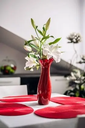 Design Apart Daire, 1 Yatak Odası, Küçük Mutfak