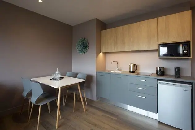 Apart Daire, 1 Yatak Odası (Avenue View)