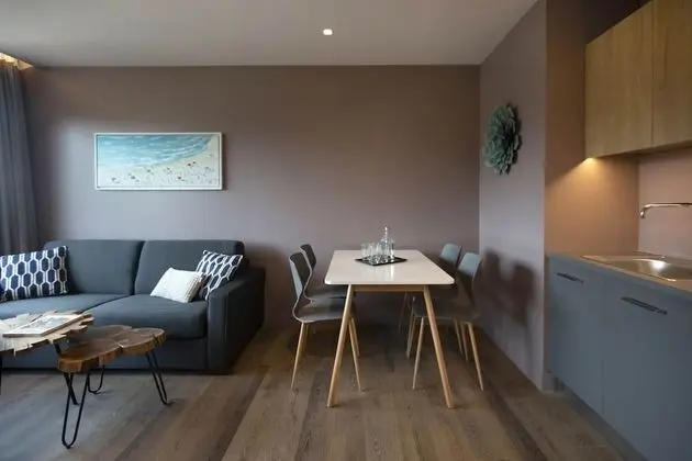 Apart Daire, 1 Yatak Odası (Avenue View)