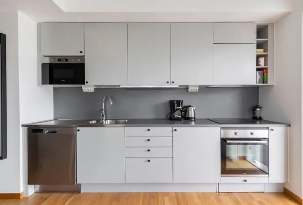 Business Apart Daire, 1 Çift Kişilik Yatak ve Çekyat, Balkon