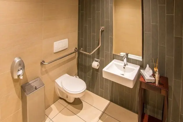 Tek Büyük Yataklı Oda, Engellilere Uygun, Sigara İçilmez