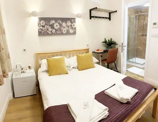 Deluxe Tek Büyük Yataklı Oda
