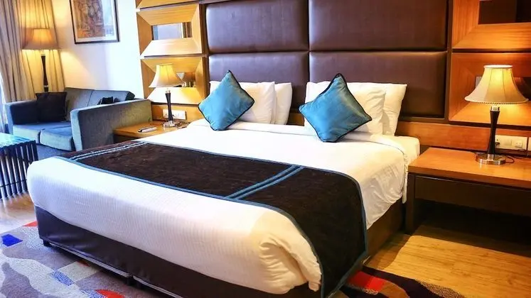 Executive Tek Büyük Yataklı Oda, 1 Çift Kişilik Yatak