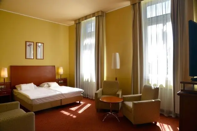 Superior Tek Büyük Yataklı Oda