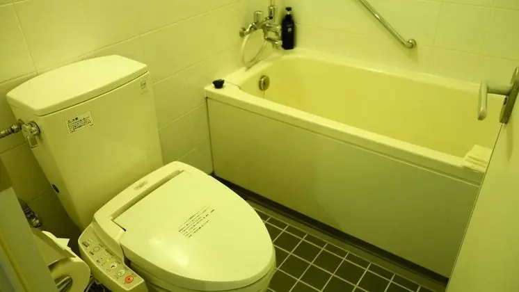 Standard İki Ayrı Yataklı Oda, Sigara İçilmez, Şehir Manzaralı (2 Single Beds)