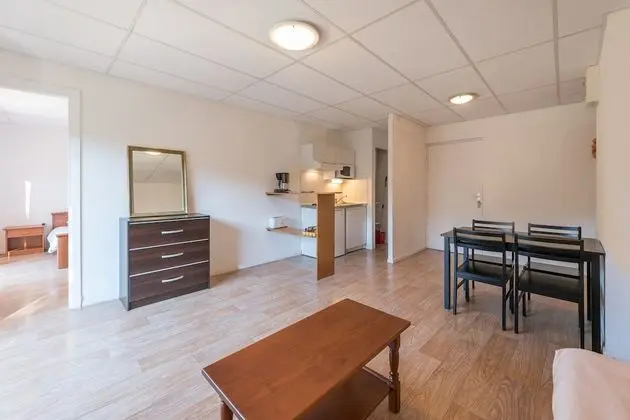 Apart Daire, 1 Yatak Odası