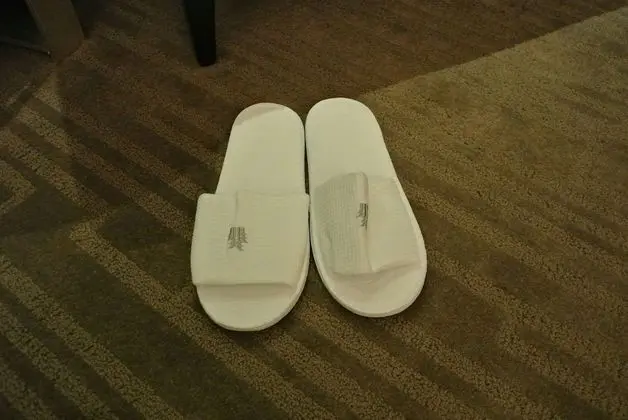 Standard Tek Büyük Yataklı Oda, Penceresiz (No extra bed)