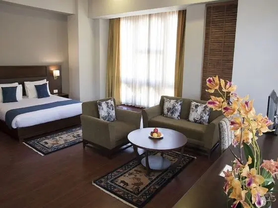 Deluxe Tek Büyük Yataklı Oda, 1 Yatak Odası, Özel Banyo, Şehir Manzaralı