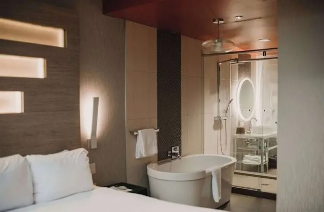 Standard Oda, 1 En Büyük (King) Boy Yatak, Sigara İçilmez (Soaking Tub)