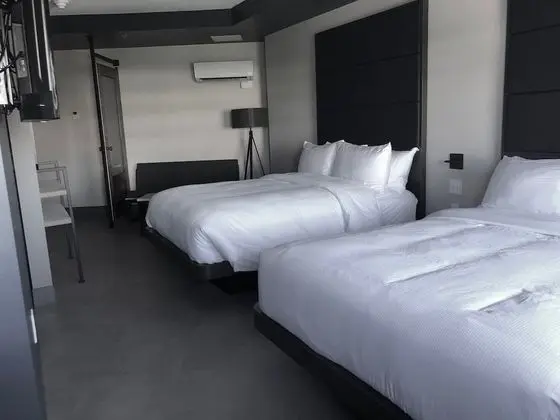 Standard Oda, 2 Büyük (Queen) Boy Yatak, Sigara İçilmez, Şehir Manzaralı