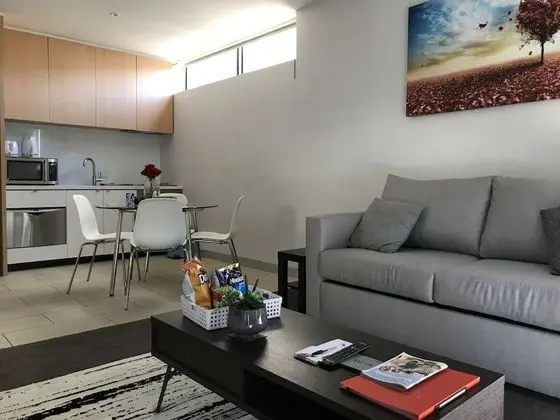 Deluxe Apart Daire, 1 Büyük (Queen) Boy Yatak ve Çekyat, Şehir Manzaralı