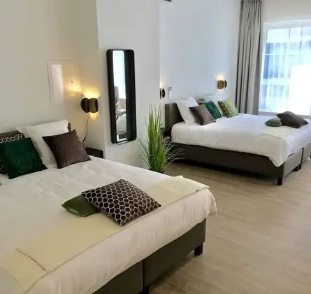 Deluxe Tek Büyük Yataklı Oda, Avlu Manzaralı