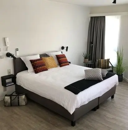 Deluxe Tek Büyük Yataklı Oda, Avlu Manzaralı