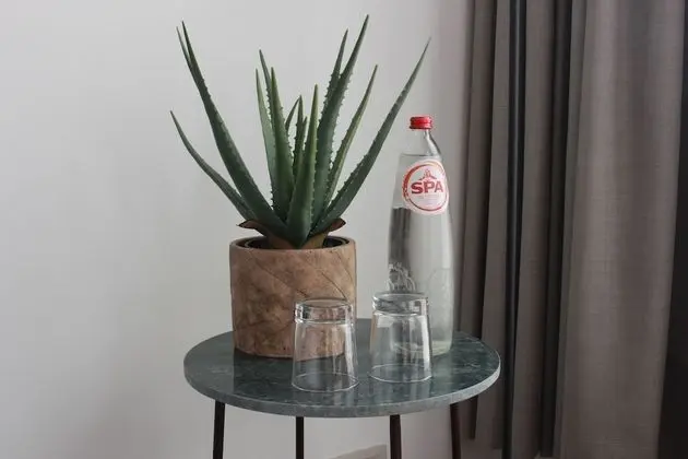 Deluxe Tek Büyük Yataklı Oda, Şehir Manzaralı