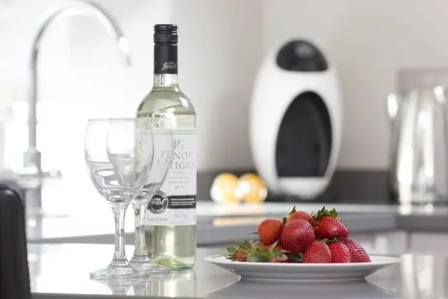 Business Apart Daire, 1 Yatak Odası