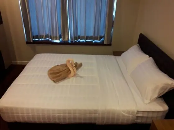 Deluxe Apart Daire, 1 Yatak Odası