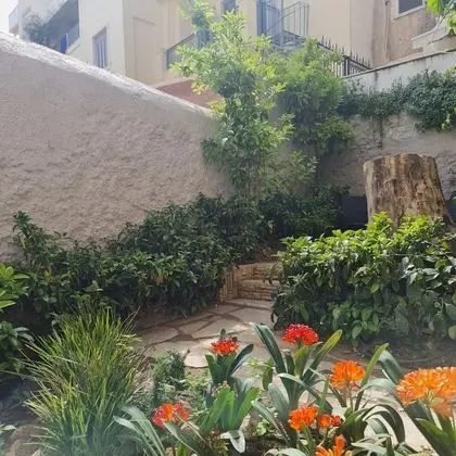 Luxury Stüdyo Süit (Zeus)