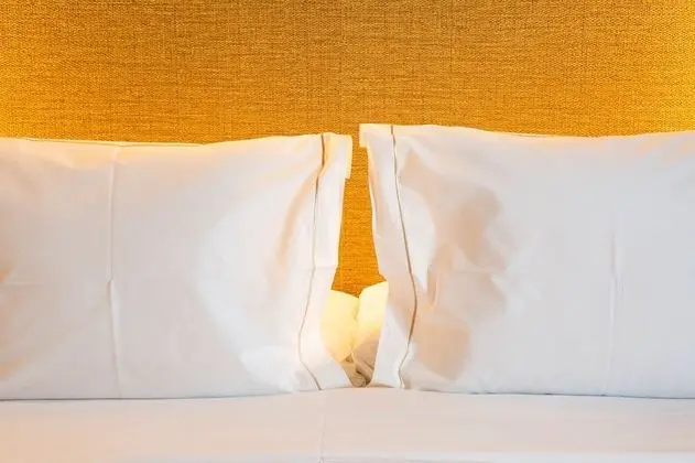 Standard Tek Büyük Yataklı Oda (with extra bed)