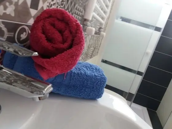 Superior Tek Büyük Yataklı Oda, Küçük Mutfak