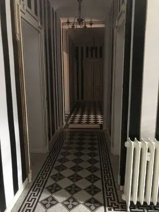 Süit