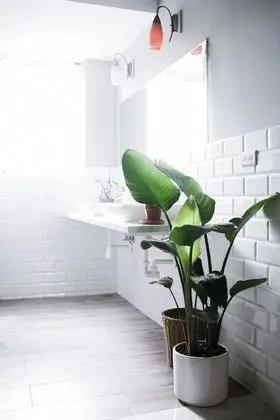 Standard Tek Büyük Yataklı Oda, 1 Çift Kişilik Yatak, Ortak Banyo (1F)