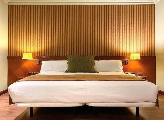 Standard Tek Büyük Yataklı Oda, 1 En Büyük (King) Boy Yatak