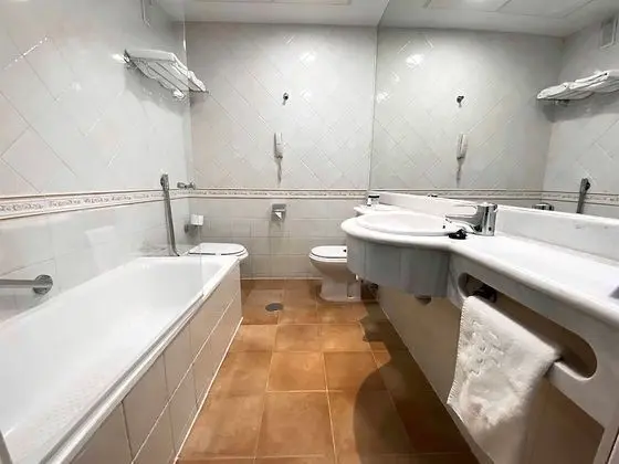 Standard Tek Büyük Yataklı Oda, 1 En Büyük (King) Boy Yatak