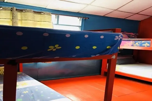 Mixed Shared Dormitory