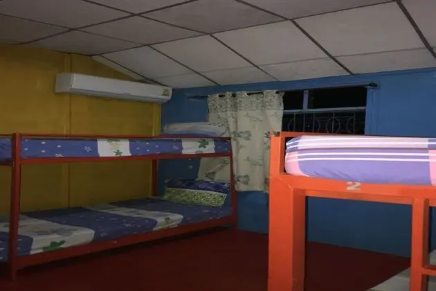 Mixed Shared Dormitory