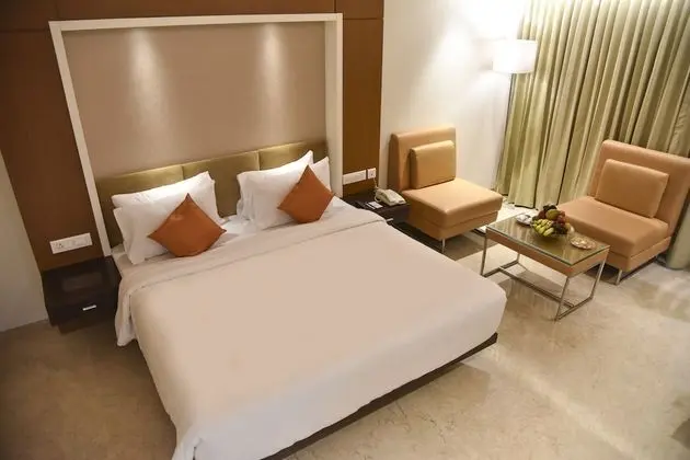 Luxury Süit, 1 Yatak Odası, Sigara İçilebilir, Şehir Manzaralı