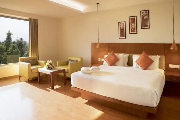 Premium Tek Büyük Yataklı Oda, 1 En Büyük (King) Boy Yatak, Sigara İçilmez, Şehir Manzaralı