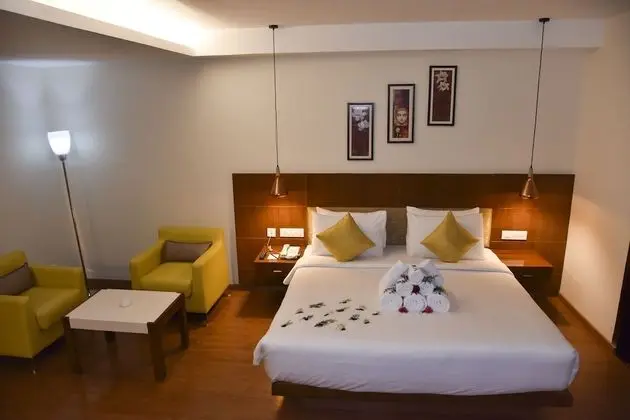 Premium Tek Büyük Yataklı Oda, 1 En Büyük (King) Boy Yatak, Sigara İçilmez, Şehir Manzaralı