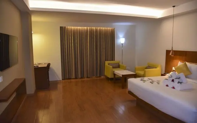 Premium Tek Büyük Yataklı Oda, 1 En Büyük (King) Boy Yatak, Sigara İçilmez, Şehir Manzaralı