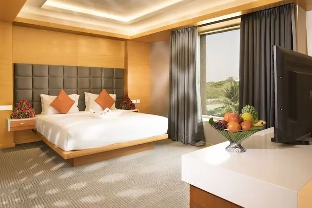 Premium Tek Büyük Yataklı Oda, 1 En Büyük (King) Boy Yatak, Sigara İçilmez, Şehir Manzaralı