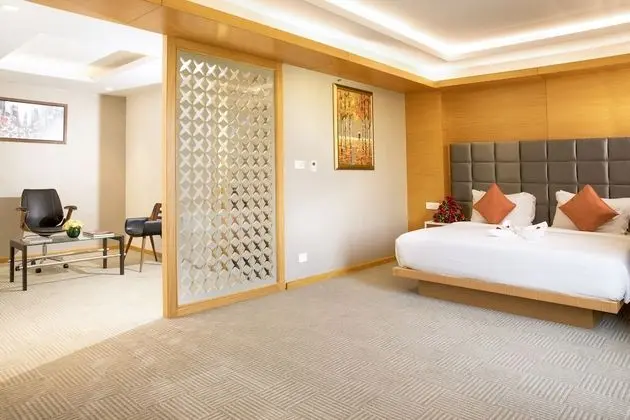 Premium Tek Büyük Yataklı Oda, 1 En Büyük (King) Boy Yatak, Sigara İçilmez, Şehir Manzaralı