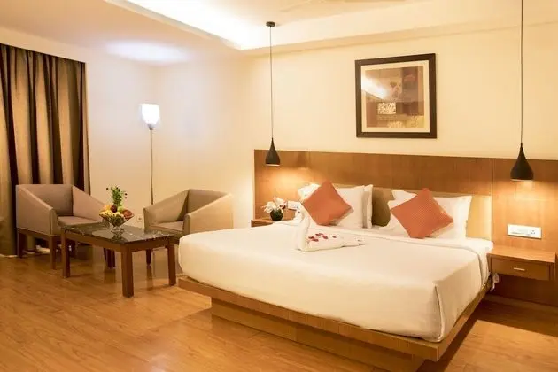 Premium Tek Büyük Yataklı Oda, 1 En Büyük (King) Boy Yatak, Sigara İçilmez, Şehir Manzaralı