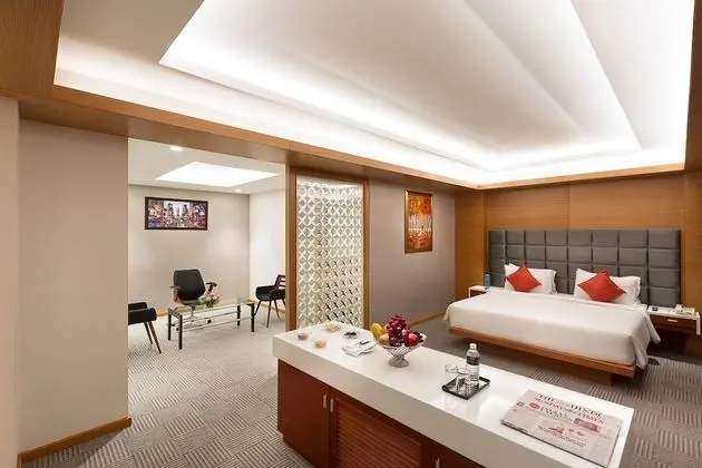 Premium Tek Büyük Yataklı Oda, 1 En Büyük (King) Boy Yatak, Sigara İçilmez, Şehir Manzaralı