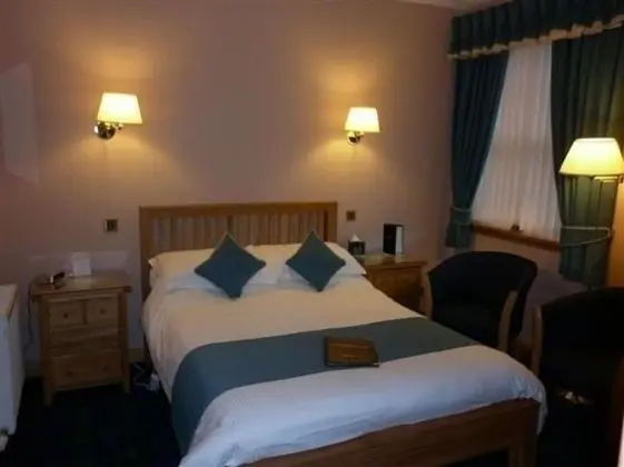 Tek Büyük Yataklı Oda, 1 Çift Kişilik Yatak, Sigara İçilmez (Large)