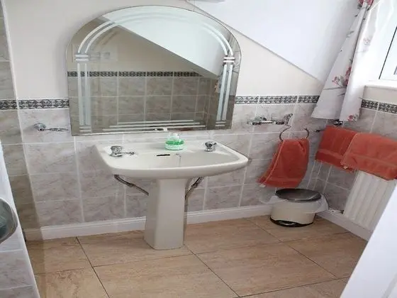 Tek Büyük Yataklı Oda, Banyolu/Duşlu (Room 2)