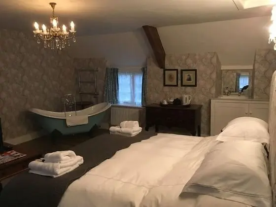 Luxury Tek Büyük Yataklı Oda, Banyolu/Duşlu (Blue Room)