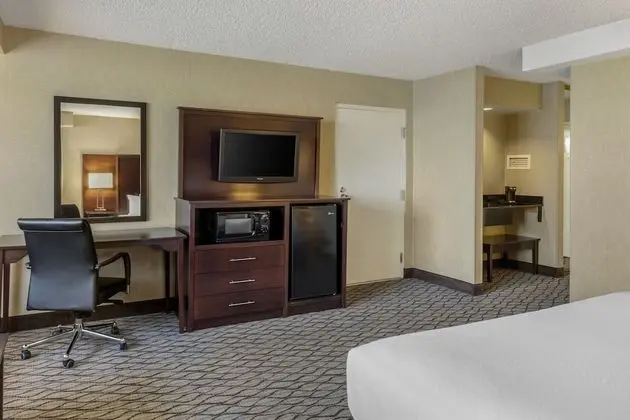 Suite, 1 King Bed, Accessible with Roll-in Shower, Non Smoking