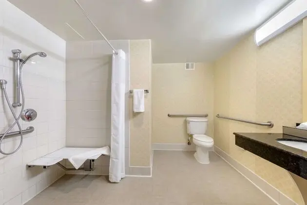 Suite, 1 King Bed, Accessible with Roll-in Shower, Non Smoking