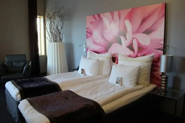 Deluxe Oda, 1 Çift Kişilik Yatak ve Çekyat, Sigara İçilmez