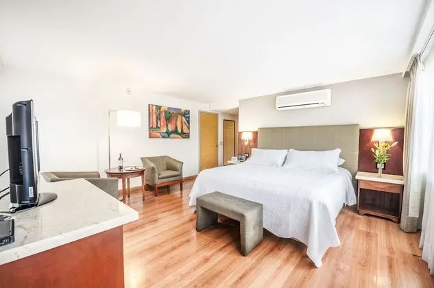 Business Süit, 1 En Büyük (King) Boy Yatak ve Çekyat, Balkon