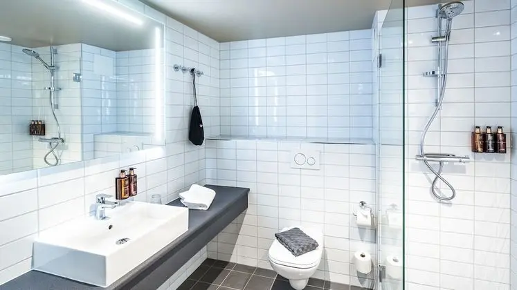 Superior Oda, 1 Çift Kişilik Yatak (Includes a light evening meal)