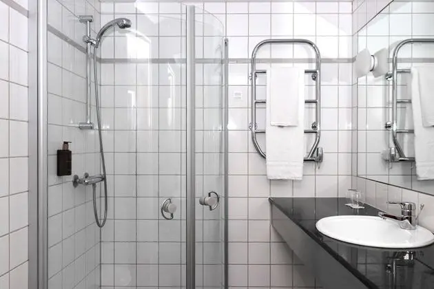 Economy Tek Kişilik Oda, 1 Tek Kişilik Yatak, Sigara İçilmez (Includes a light evening meal)