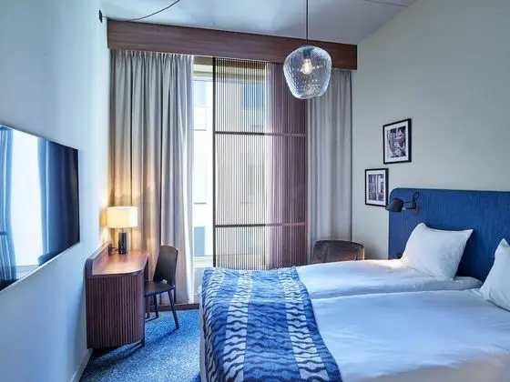 Tek Büyük Yataklı Oda (Moderate)