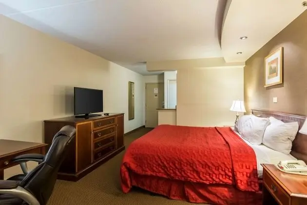 Standard Oda, 1 En Büyük (King) Boy Yatak, Sigara İçilmez